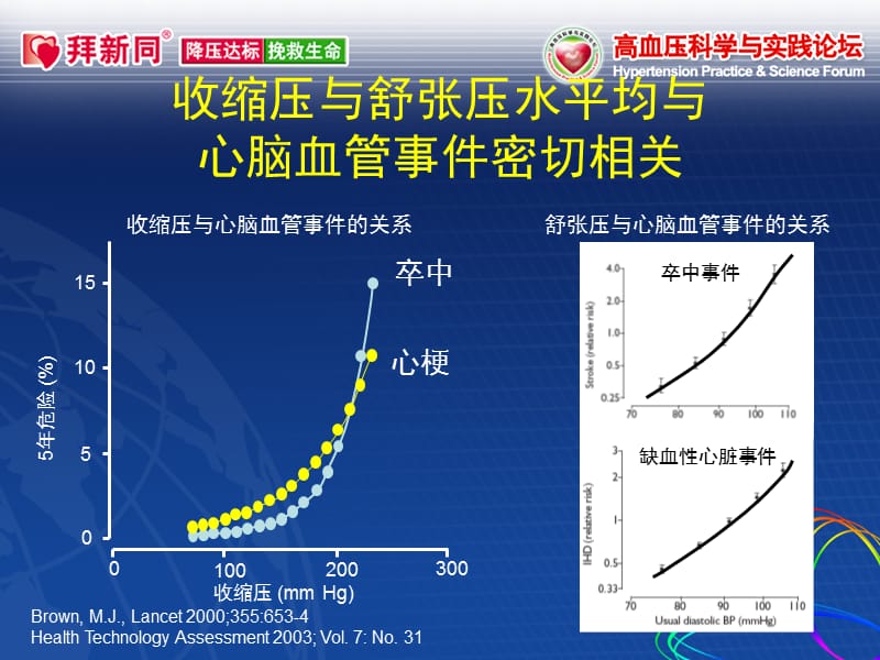 高品质降压_强效_平稳每分钟_李南方.ppt_第3页