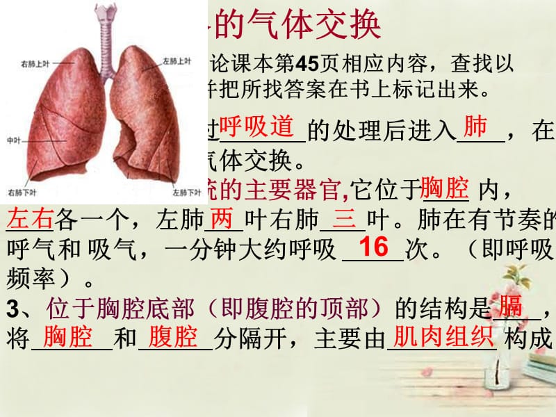 再修改第二节发生在肺内的气体交换.ppt_第3页