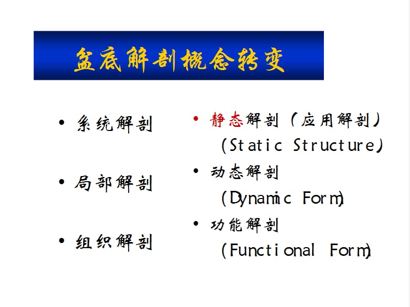 盆底肌肉动力学.ppt_第3页