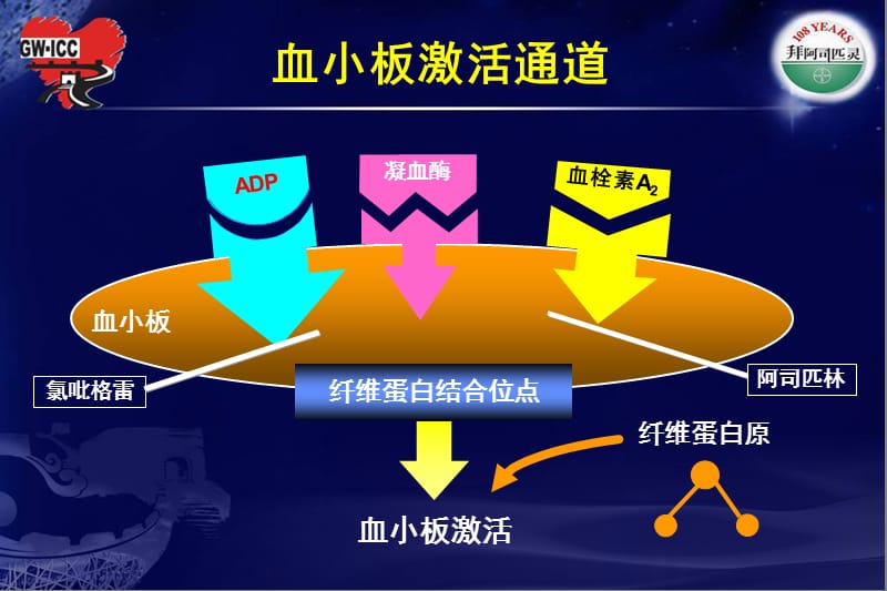 阿司匹林抵抗的概念缺乏临床意义.ppt_第3页