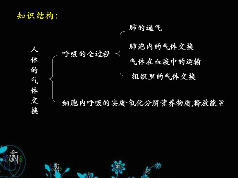 发生在肺内的气体交换_七年级下册_人教版_课件.ppt_第2页