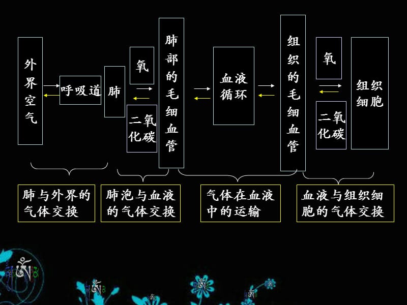 发生在肺内的气体交换_七年级下册_人教版_课件.ppt_第3页