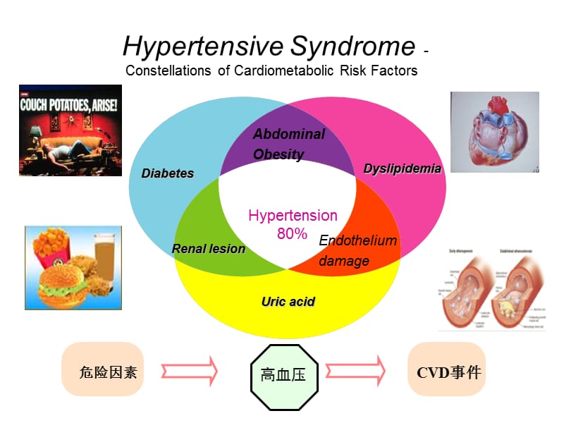 高血压代谢危险因素控制面临的困惑与启示_祝之明.ppt_第2页