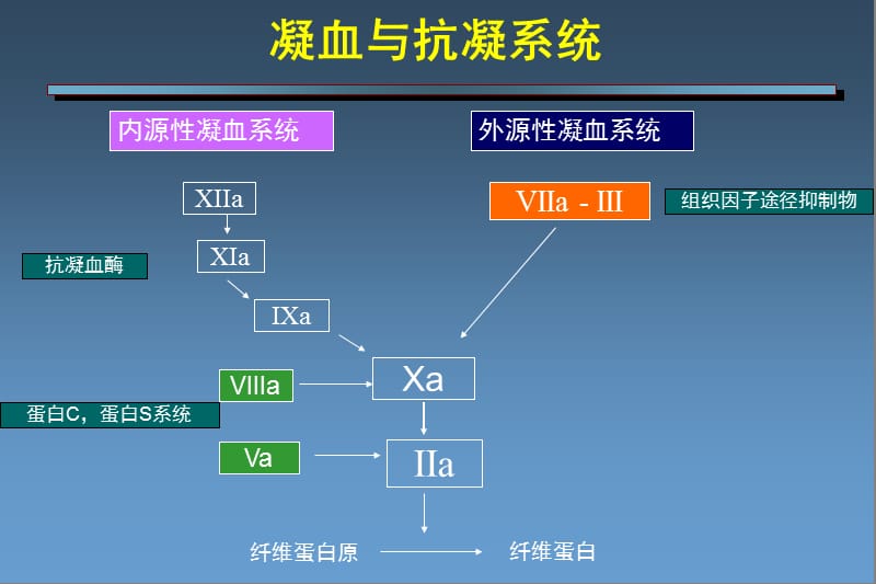 肝素诱导的血小板减少症.ppt_第2页