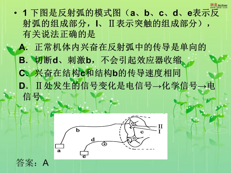 高二生物第一次练习课.ppt_第1页