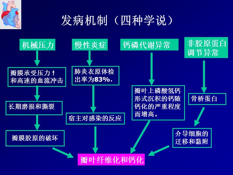 老年退行性瓣膜病的治疗策略.ppt_第3页