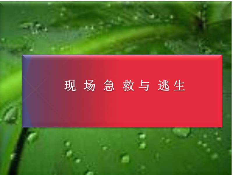 厂级-现场急救与逃生.ppt_第1页