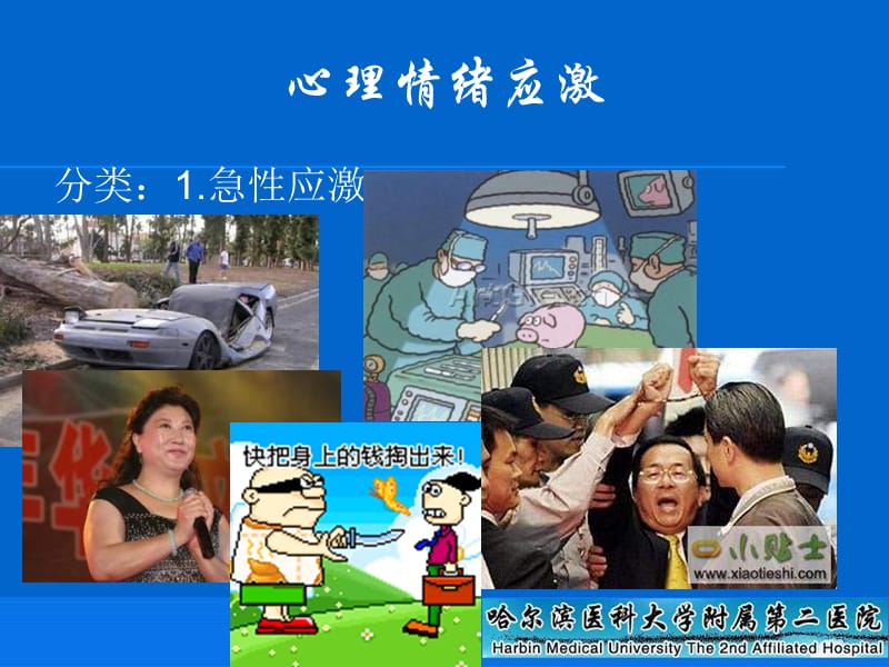 情绪应激与急性心血管疾病_牛春峰.ppt_第3页