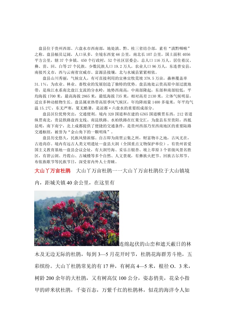 2019盘县旅游景点介绍.doc_第1页