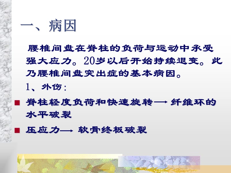 腰椎间盘突出症-教学课件.ppt_第3页