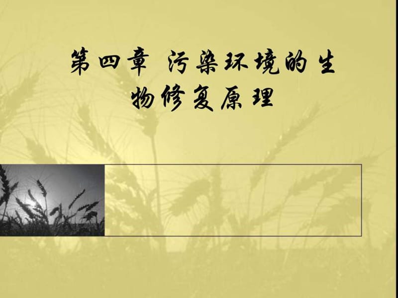 污染环境的生物修复原理.ppt_第1页