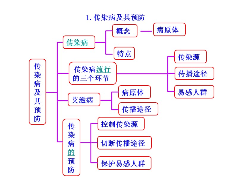 初中生物《健康地生活》复习课件.ppt_第2页