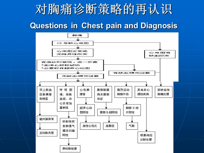 临床实践中胸痛的病例分析.ppt_第2页