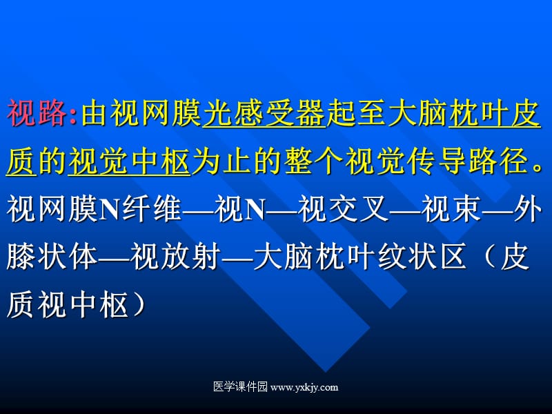 视神经及视路疾病-教学课件.ppt_第2页