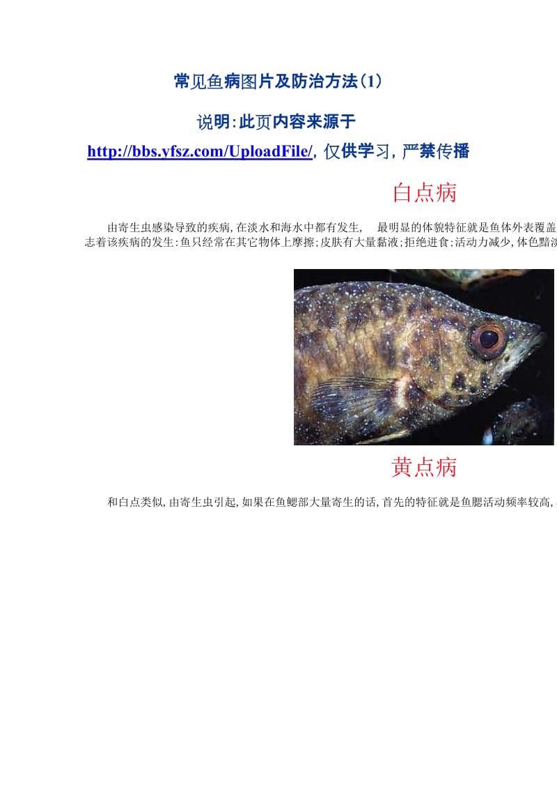 general fish disease pictures(1).doc_第1页