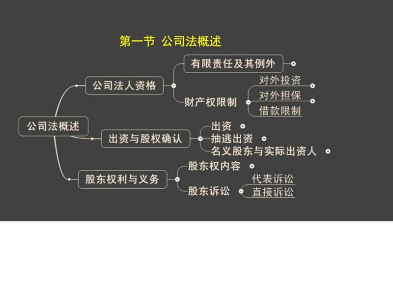 公司法_计算机软件及应用_IT计算机_专业资料.ppt_第3页