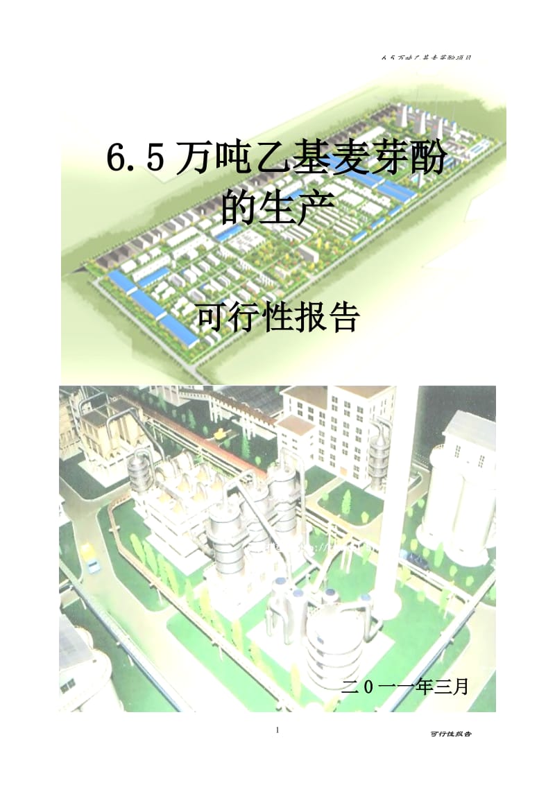 6.5万吨乙基麦芽酚项目可行性研究报告.doc_第1页