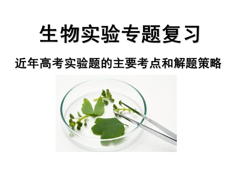 生物实验专题复习 【精品推荐】.ppt_第1页