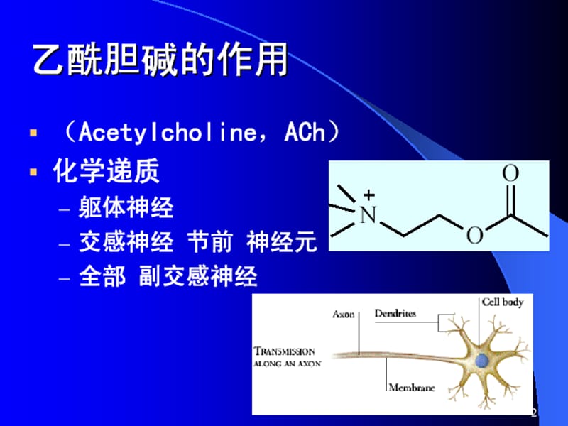 拟胆碱药和抗胆碱药.ppt_第2页