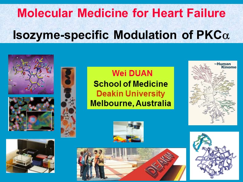 心力衰竭的细胞分子生物学基础：PKC激活和心力衰竭-英文课件.ppt_第1页