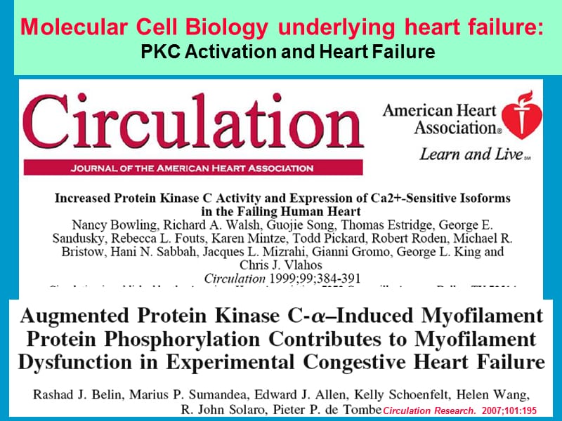 心力衰竭的细胞分子生物学基础：PKC激活和心力衰竭-英文课件.ppt_第3页