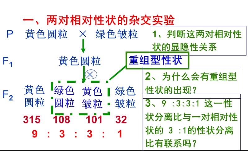 基因的自由组合定律课件_理化生_高中教育_教育专区.ppt_第3页