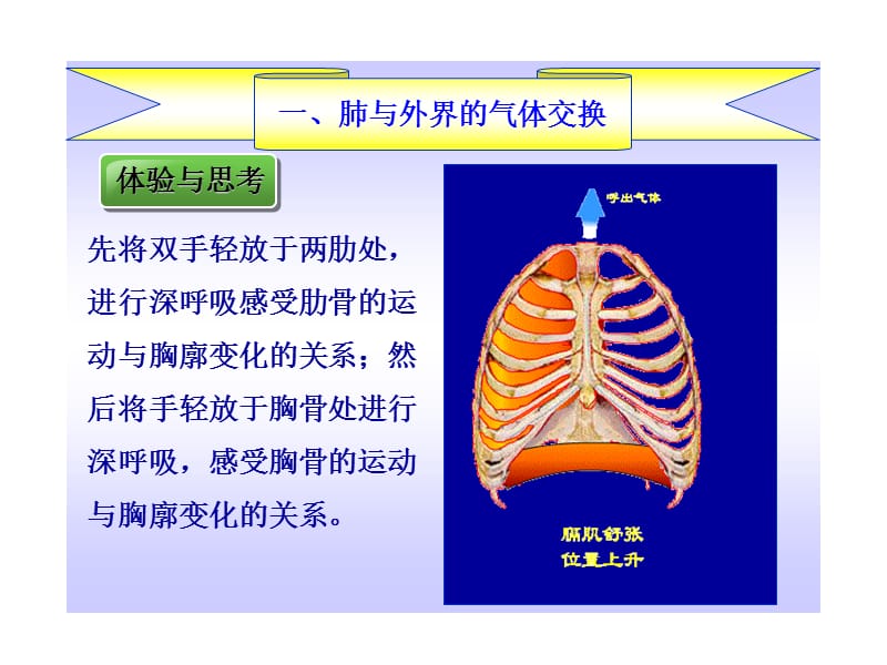 发生在肺内的气体交换(19).ppt_第3页