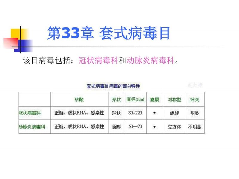 套式病毒目_计算机软件及应用_IT计算机_专业资料.ppt_第1页