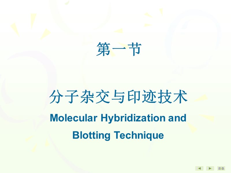 常用分子生物学技术的原理及其应用.ppt_第2页