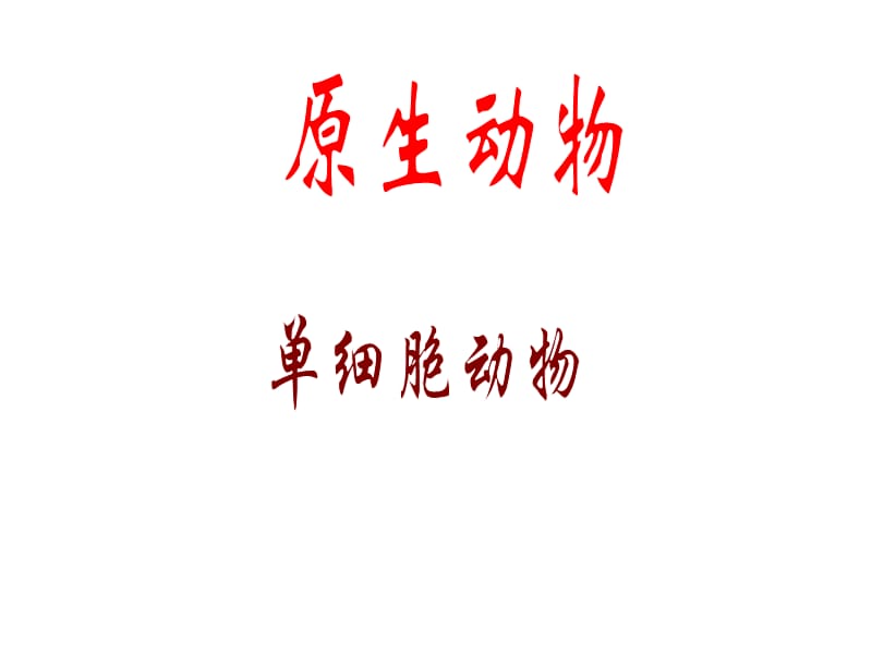 正出芽一小水螅课件.ppt_第3页