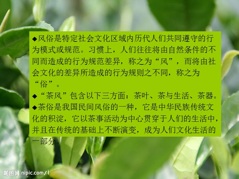 《茶风与茶俗》PPT课件.ppt_第3页