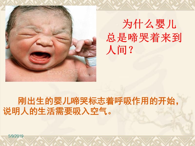 呼吸道和肺ppt课件.ppt_第2页