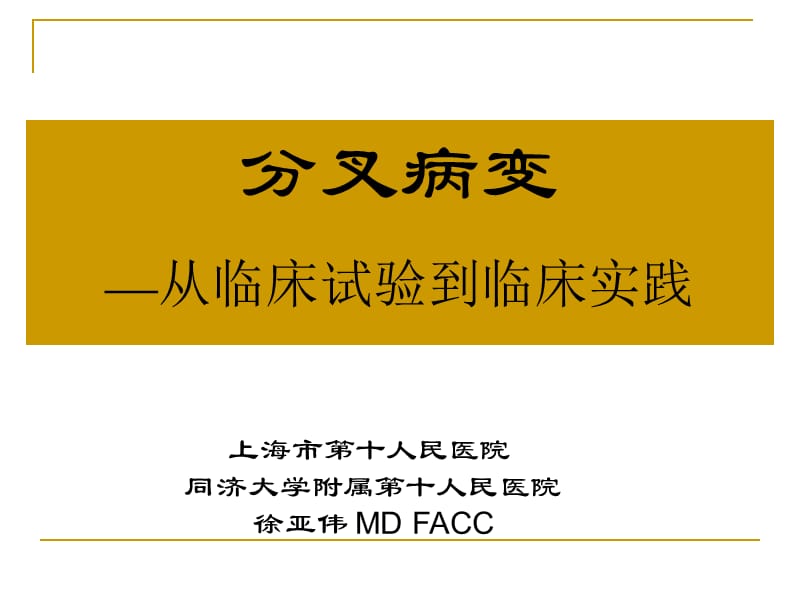 分叉病变—从临床试验到临床实践_徐亚伟.ppt_第1页