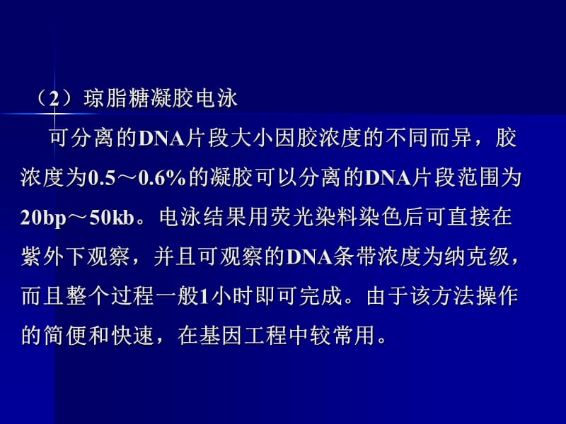 质粒DNA的琼脂糖凝胶电泳.ppt_第3页