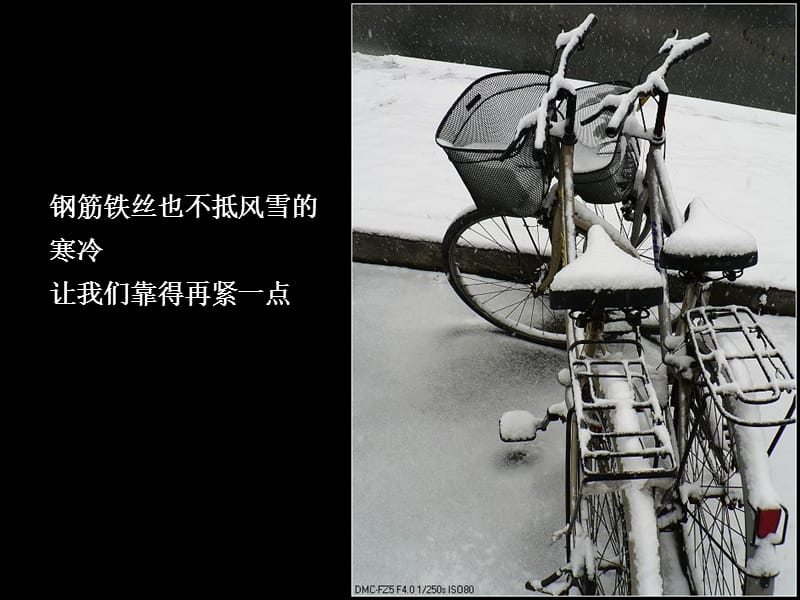 浙大的雪之二.ppt_第2页