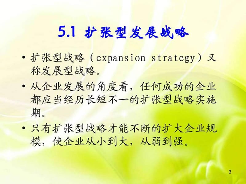 公司层级战略规划.ppt_第3页