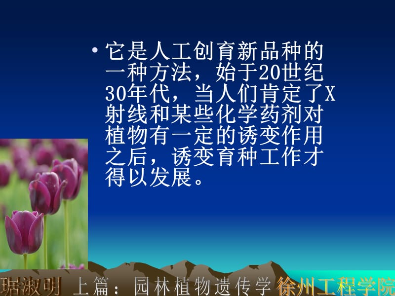 《诱变育种》PPT课件.ppt_第2页