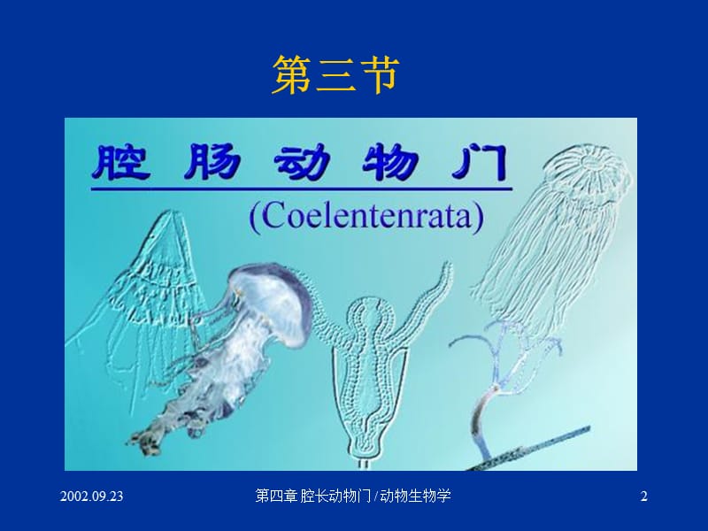 初中生物课件：2动物的类群2-腔肠扁形动物.ppt_第2页