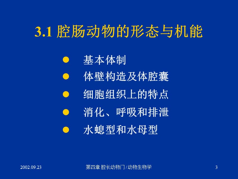 初中生物课件：2动物的类群2-腔肠扁形动物.ppt_第3页