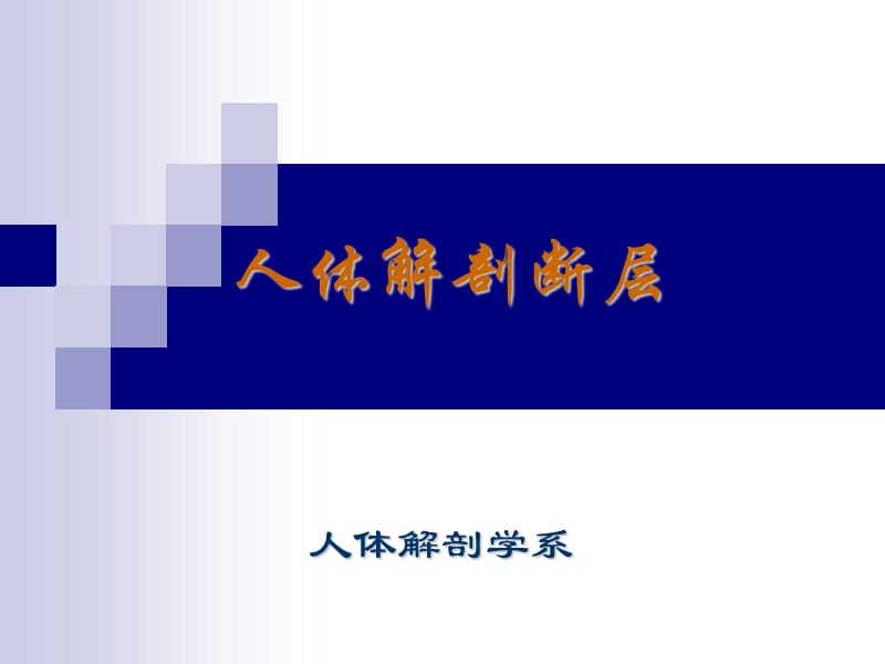 胸部断层解剖课件.ppt_第1页