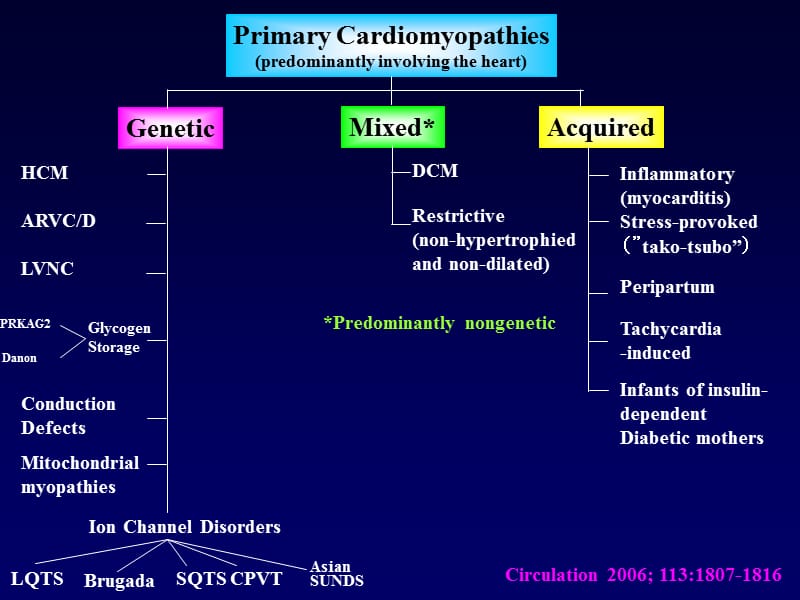 心肌病的分类（英文）-课件，幻灯，PPT.ppt_第3页