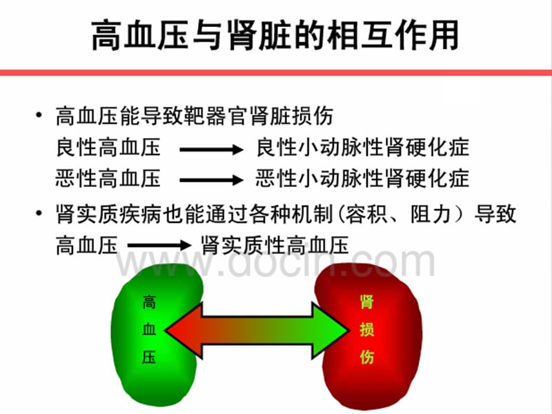 中国肾性高血压治疗的专家共识_陈香美.ppt_第2页