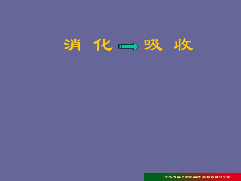 消化吸收-教学课件.ppt_第1页