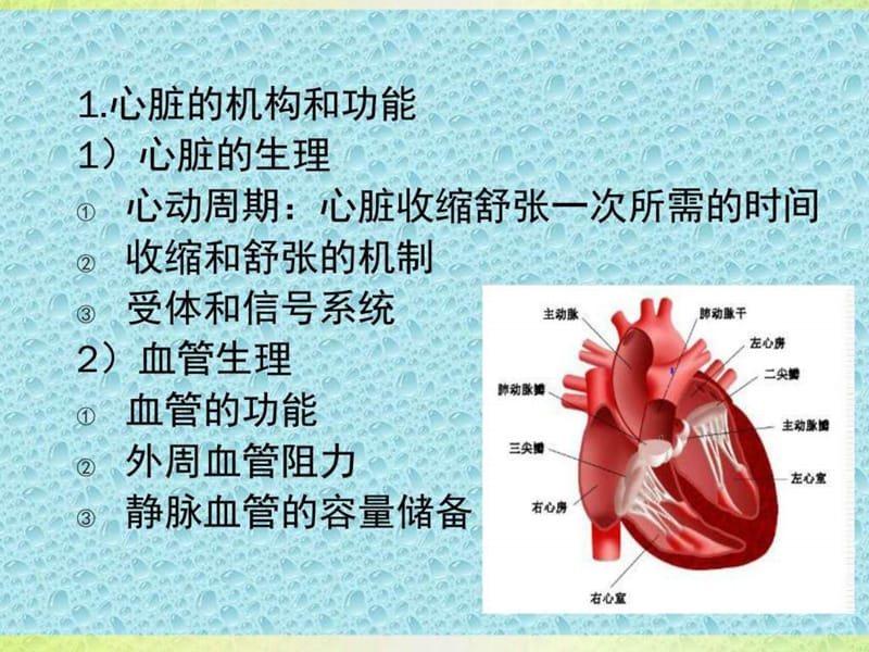 心力衰竭及监护技术.ppt_第2页