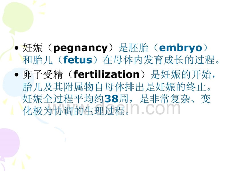 妇产科学PPT课件妊娠生理.ppt_第3页