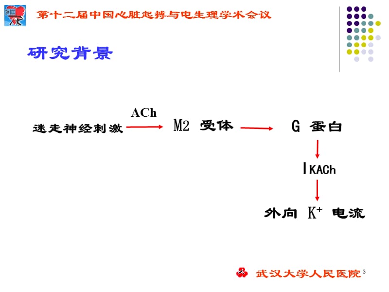 刺激迷走神经对心房肌电生理.ppt_第3页