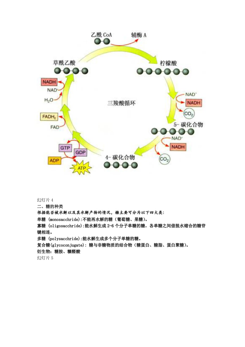 2019第1章糖的结构与功能.doc_第2页