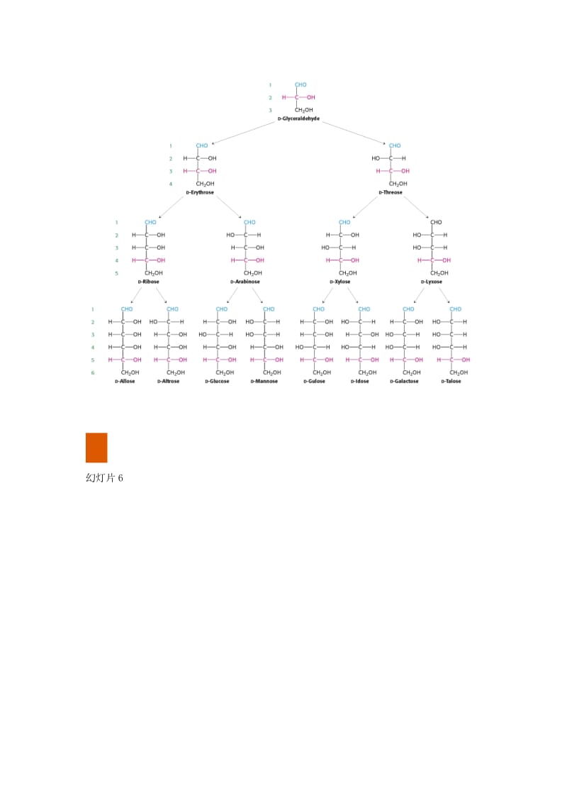 2019第1章糖的结构与功能.doc_第3页