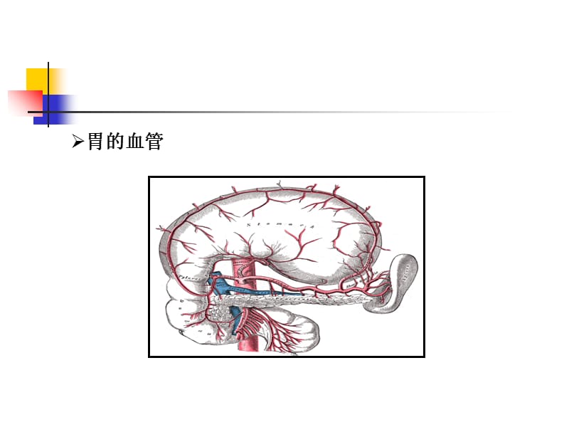 级溃疡病及并发症.ppt_第3页