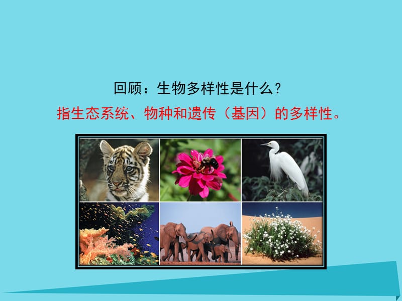 2019_学年高中生物第一章生物科学和我们1.1身边的生物科学课件1苏教版必修 (2).ppt_第2页